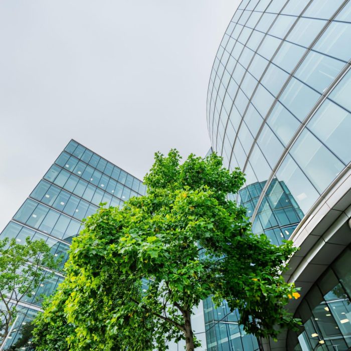 Curso de Estándares ASHRAE para edificios