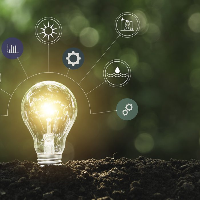 Light bulbs with glowing one. technology and creativity concept with light bulbs.